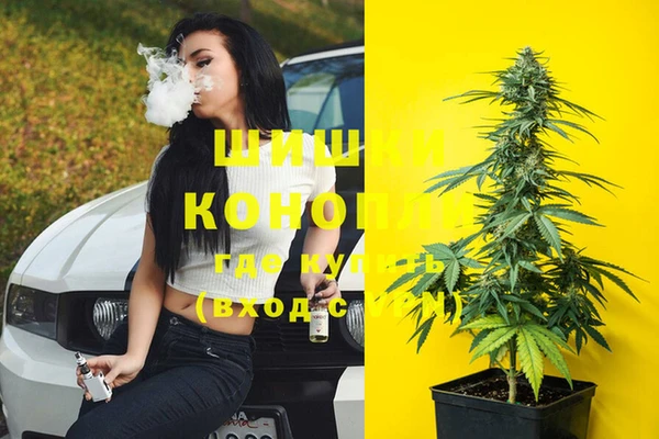 винт Новокубанск