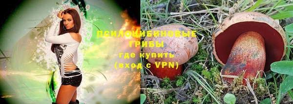 ПСИЛОЦИБИНОВЫЕ ГРИБЫ Абинск